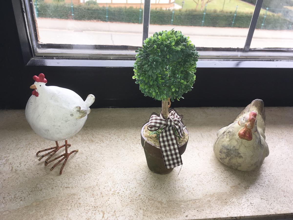 Walkenried Ferienwohnung Will מראה חיצוני תמונה